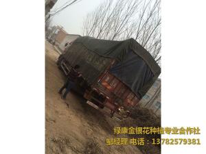 2016年11月份發貨